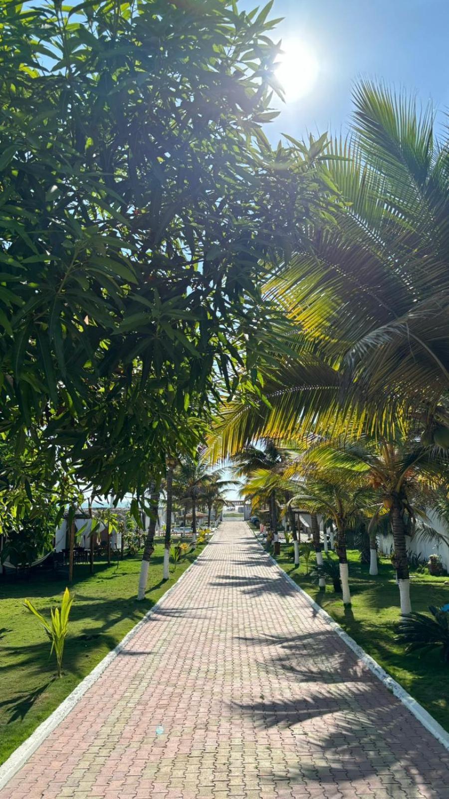Hotel La Mar 普拉亚斯 外观 照片